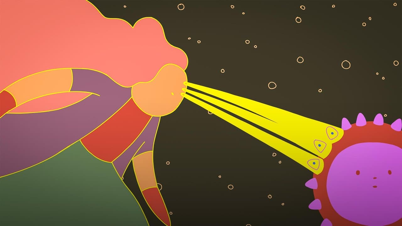 Can you actually boost your immune system? Here's the truth