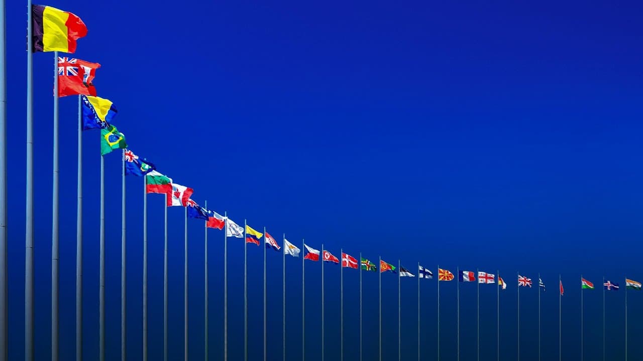 How flags unite (and divide) us