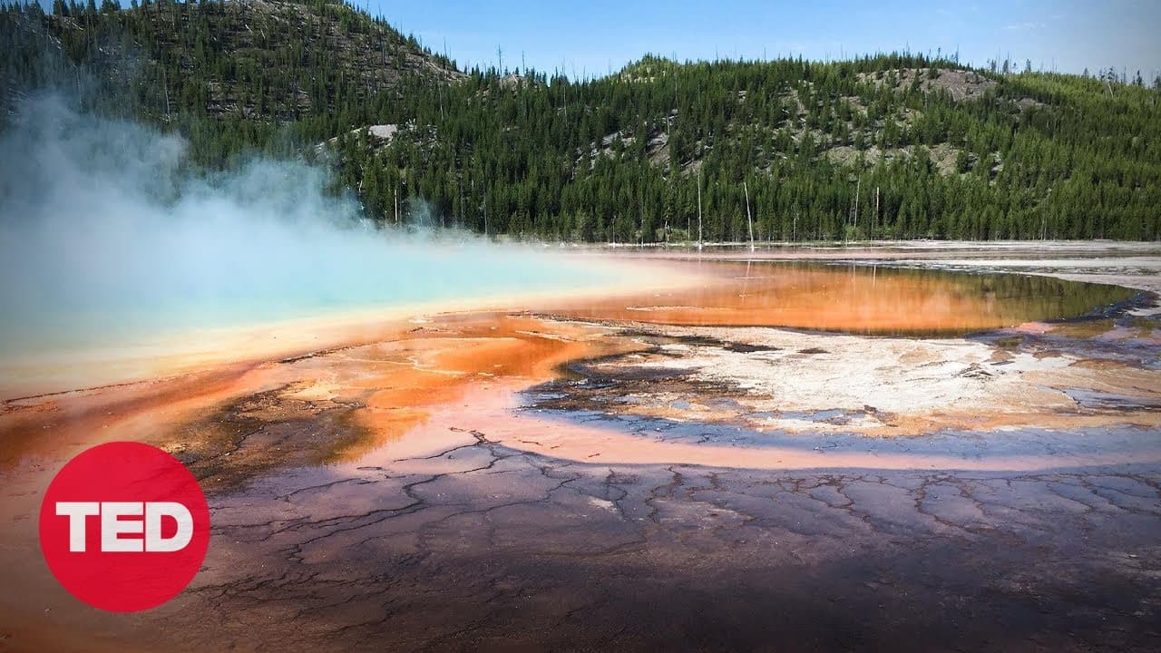 Earth's original inhabitants -- and their role in combating climate change