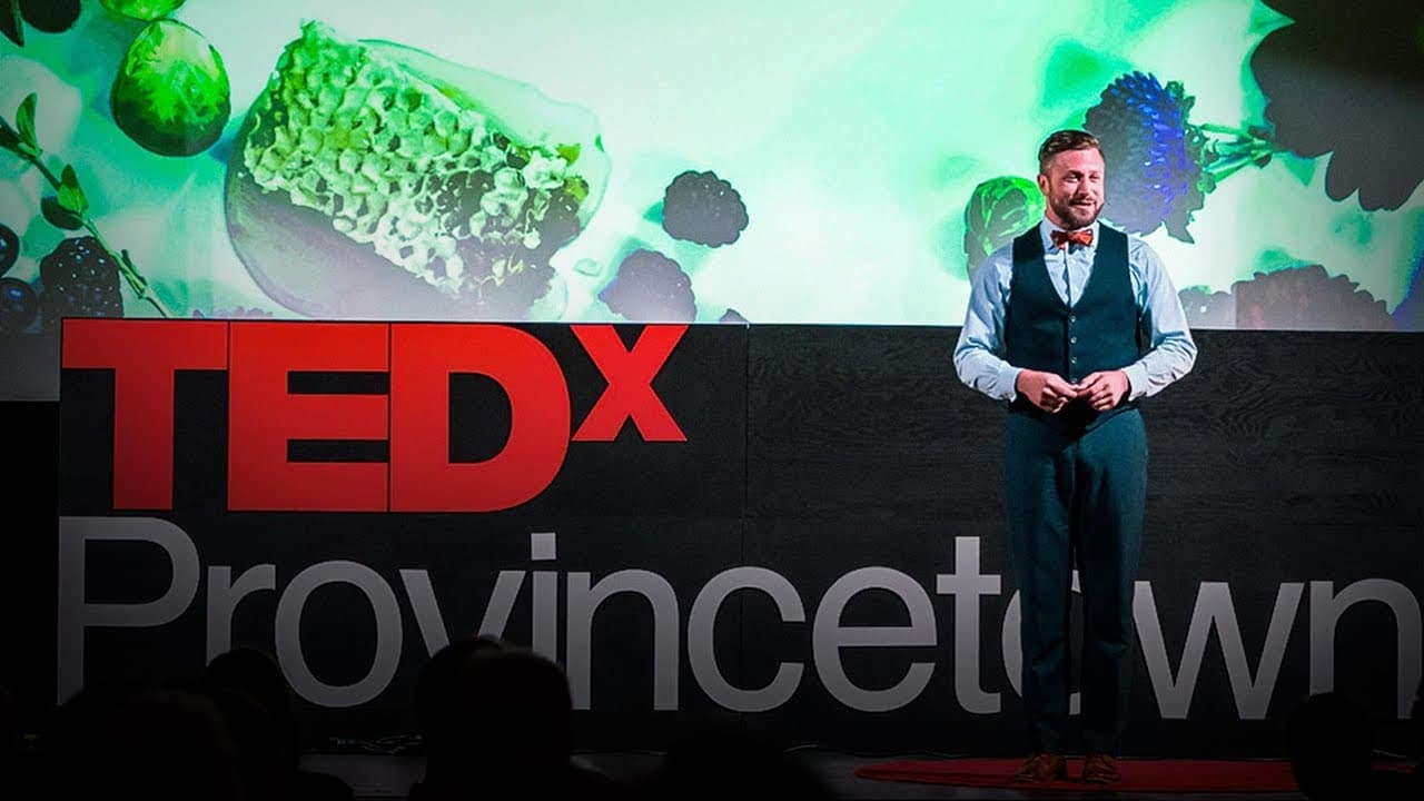 How you can help save the bees, one hive at a time