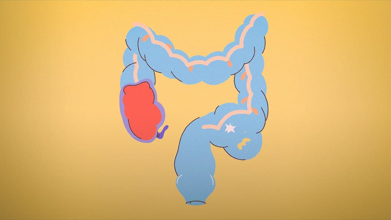 Why you shouldn't worry about pooping once a day