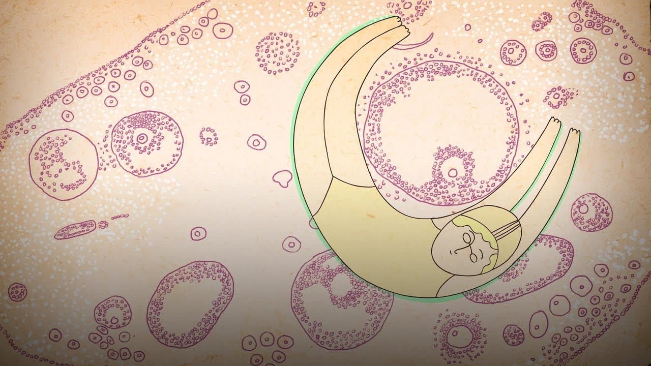 What really happens to your body during menopause