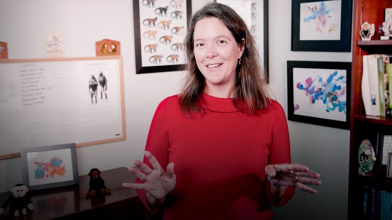 Why monkeys (and humans) are wired for fairness