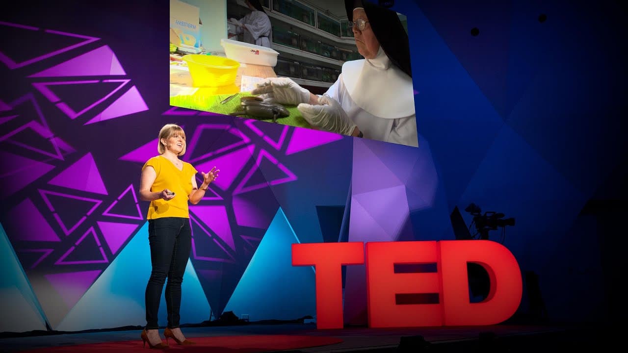 What a nun can teach a scientist about ecology