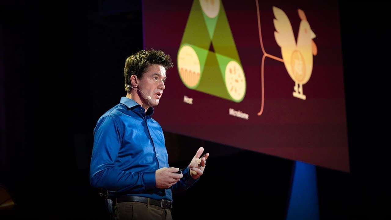 The urgent case for antibiotic-free animals