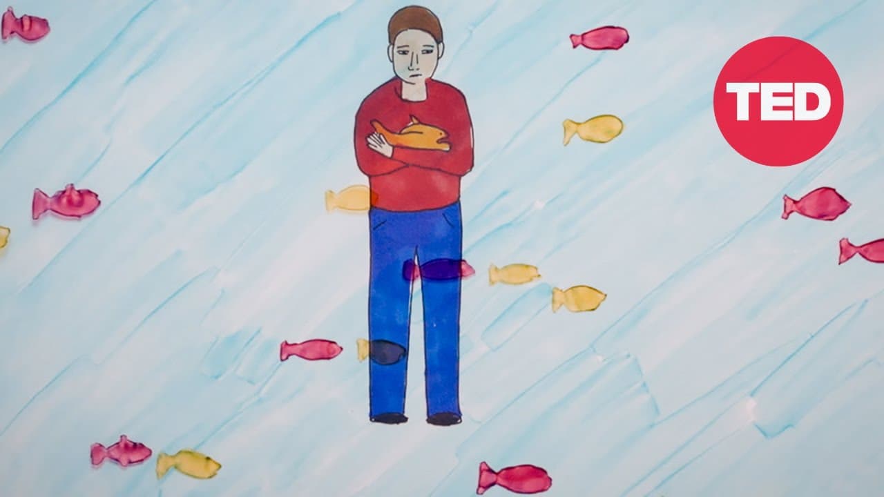 Am I Normal? with Mona Chalabi