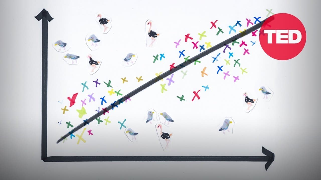 What we miss when we focus on the average