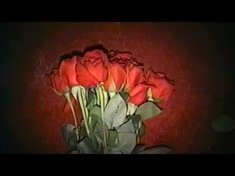 "Bouquet" (Official Music Video)