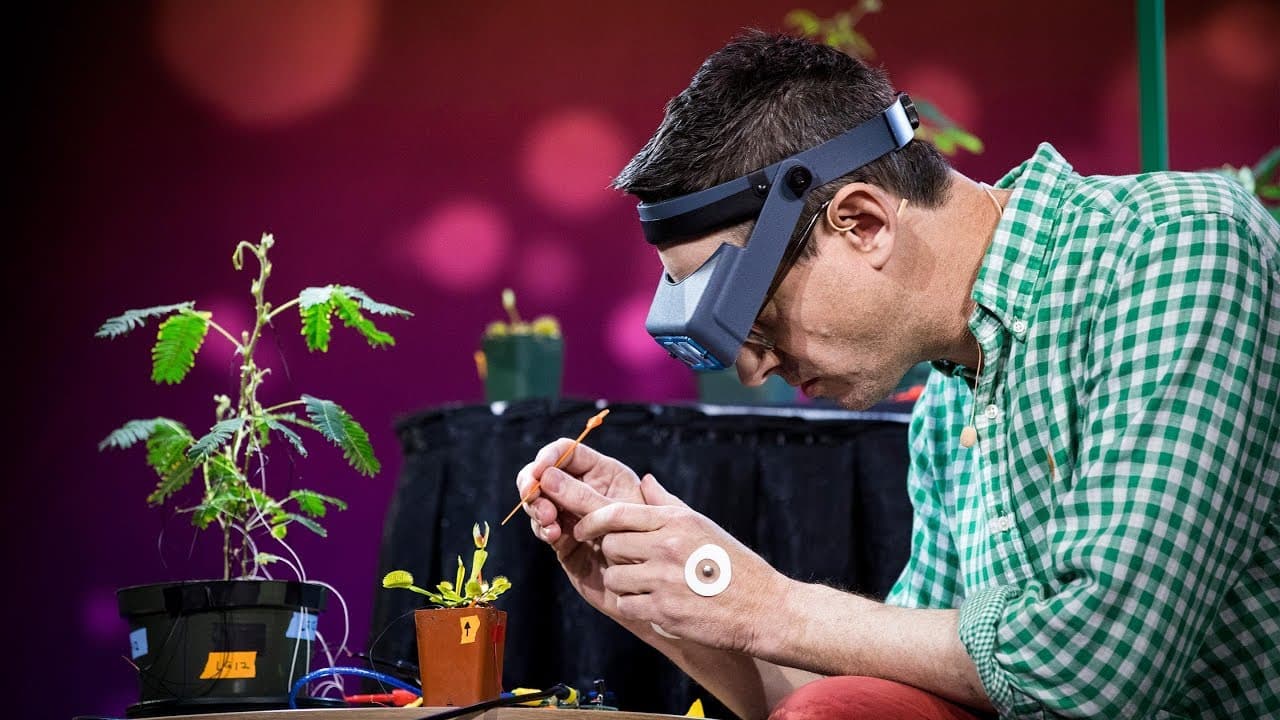 Electrical experiments with plants that count and communicate